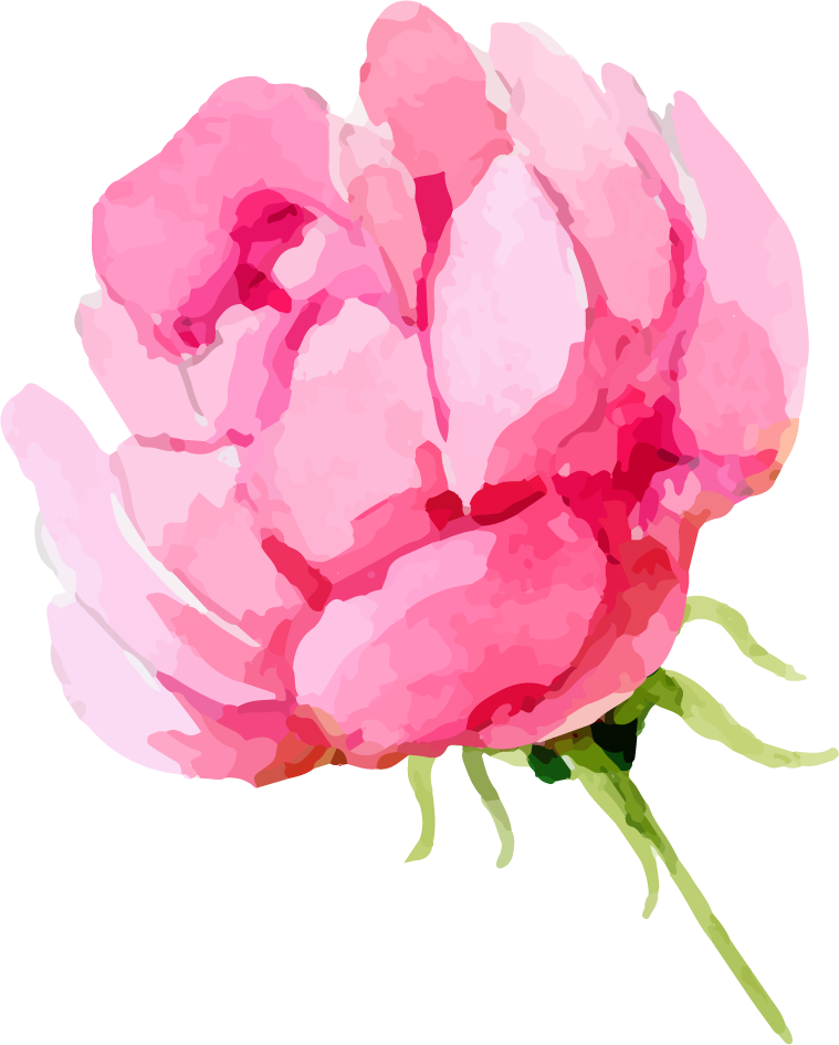 Share This Article - Peony (759x945), Png Download