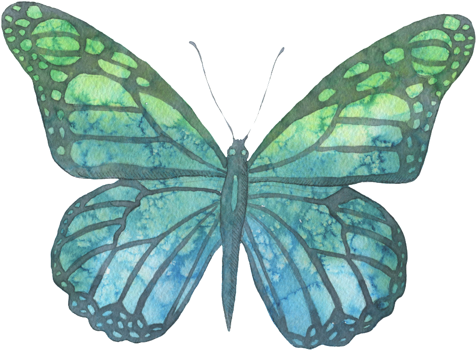 Blue And Green Hand Painted Watercolor Butterfly Transparent - Watercolor Painting (1024x788), Png Download