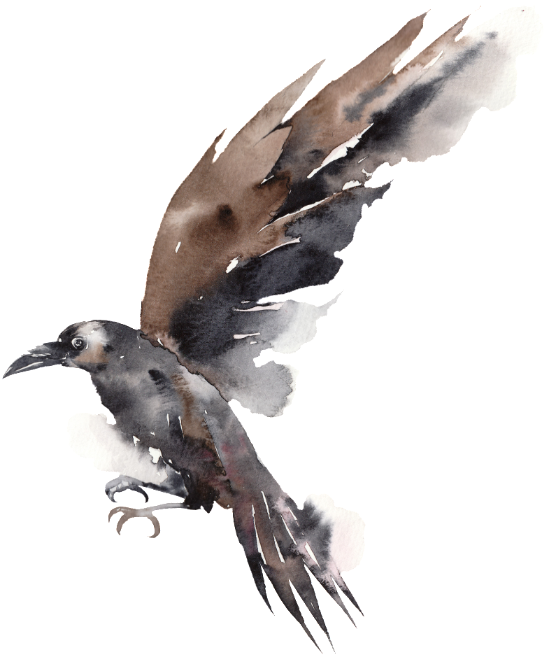 This Graphics Is Creative Flying Bird Ink Color Transparent - Watercolor Painting (1024x1024), Png Download