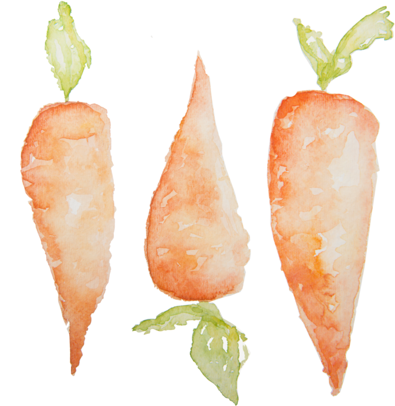 Clip Black And White Stock Carrots Design Annieb Tlc - Carrot (800x833), Png Download