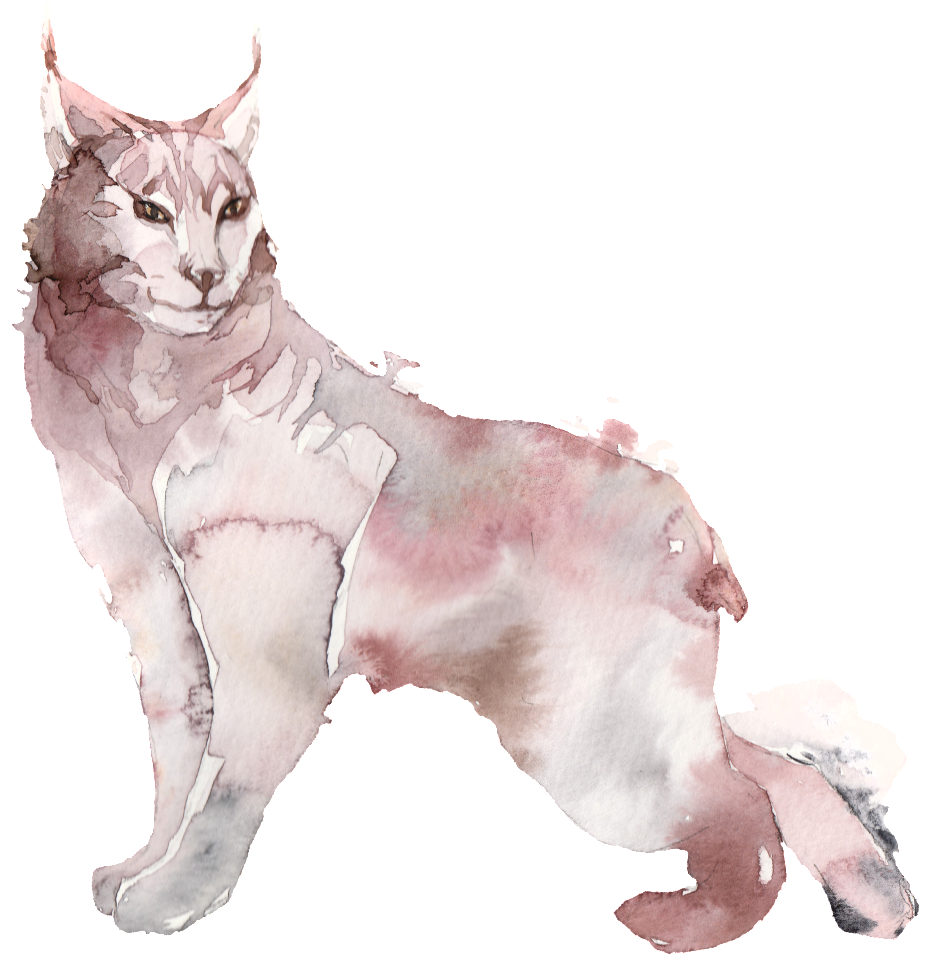 Watercolor Painting (1024x1024), Png Download