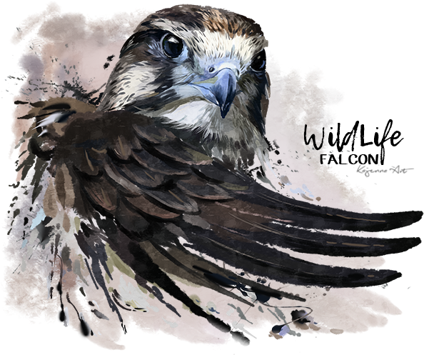 Falcon By Kajenna Deviantart Com On Wild - Falcon Png (600x503), Png Download