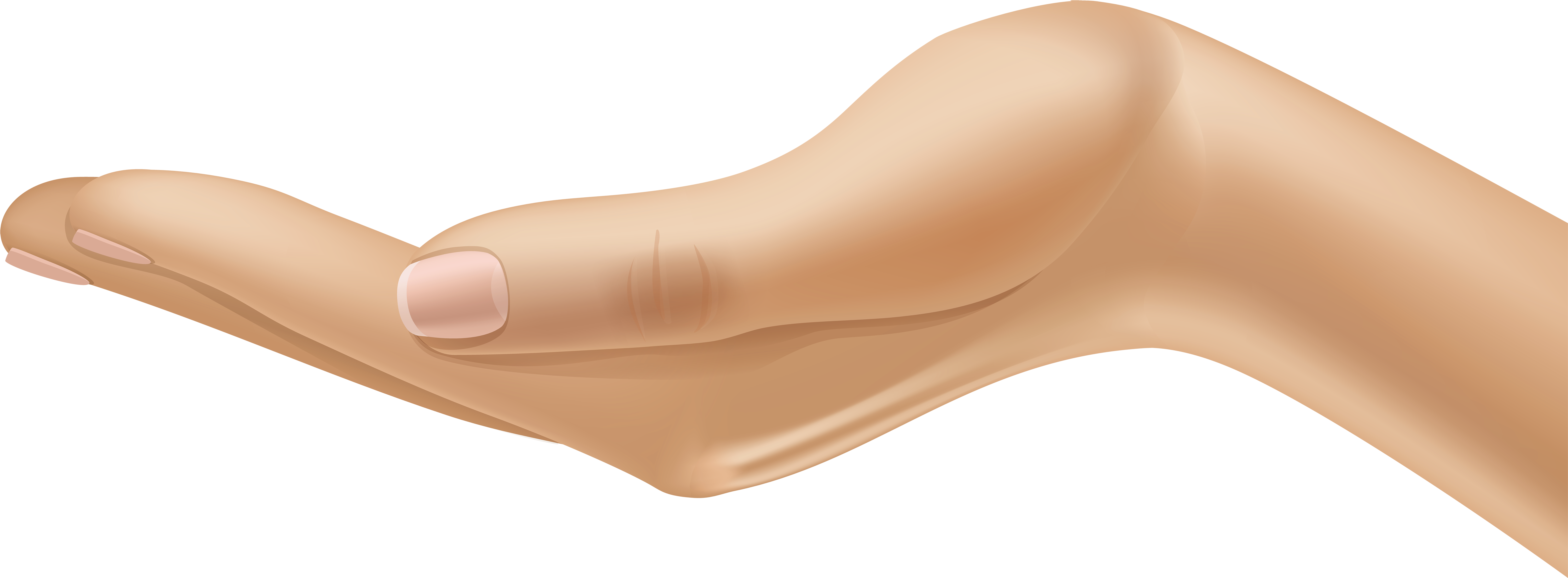 Hand Clipart Transparent Background (8000x3196), Png Download