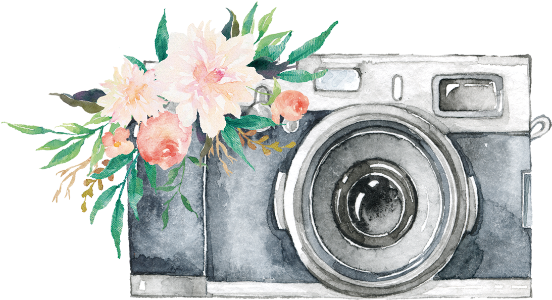 Watercolor Camera Png Watercolor Camera Logo Png Full Size Png Download Seekpng