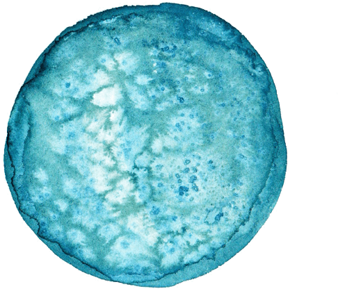 New Moon - Circle (600x600), Png Download