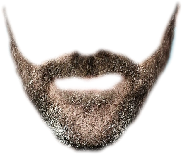 Whiskers And Beard - Transparent Background Beard Png (634x565), Png Download