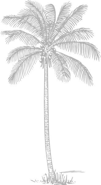 How To Set Use Gray Palm Tree Clipart (330x599), Png Download
