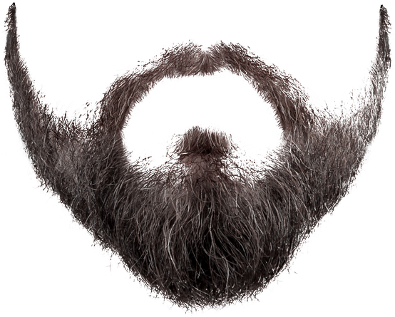 Beard Png Image - Beard Png (600x503), Png Download