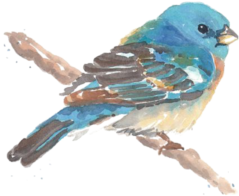 Report Abuse - Drawing (1024x1280), Png Download