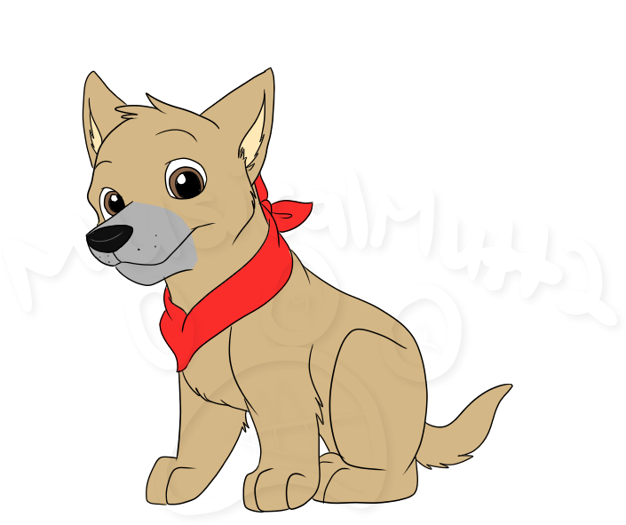 Bandit Pup - Photograph (900x800), Png Download