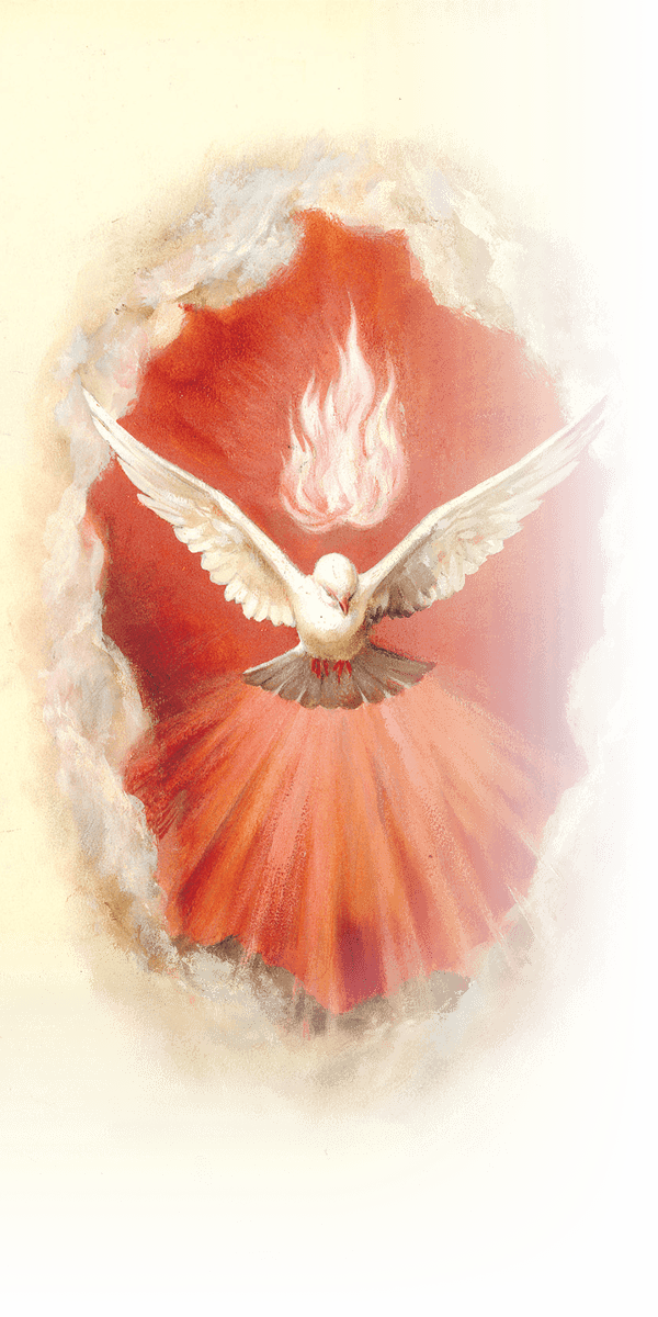 Roman Catholic Diocese Of Iligan (600x1200), Png Download