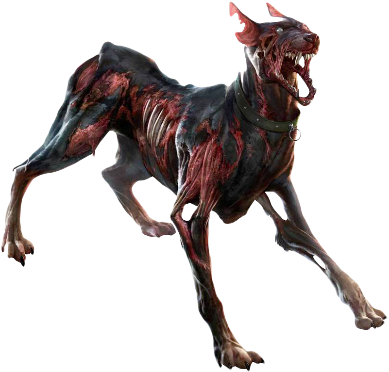Zombie Dog Png Transparent Image - Call Of Duty Zombie Dog (500x483), Png Download