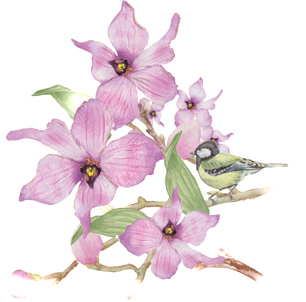 This Graphics Is Purple Wreath Watercolor Flowers Transparent - Transparent Watercolor Flowers (1024x1166), Png Download