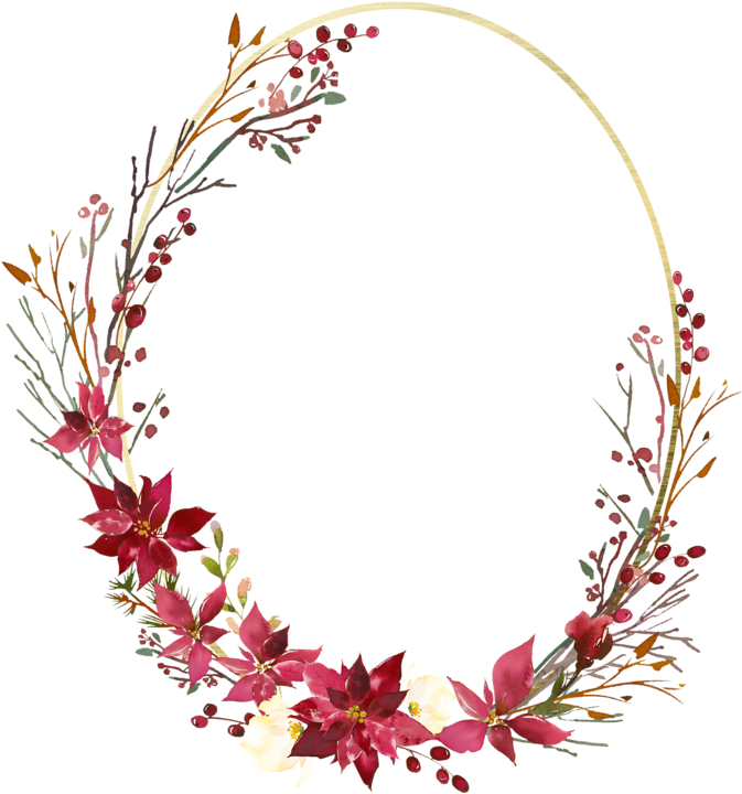 Фото, Автор ✿lili@ ✿ На Яндекс - Spirea (683x800), Png Download
