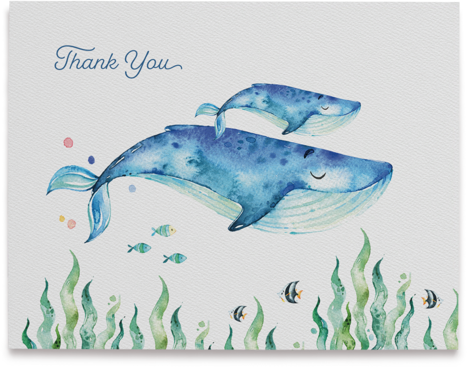 Watercolor Sea Creatures Thank You Cards - Watercolor Painting (1000x1000), Png Download
