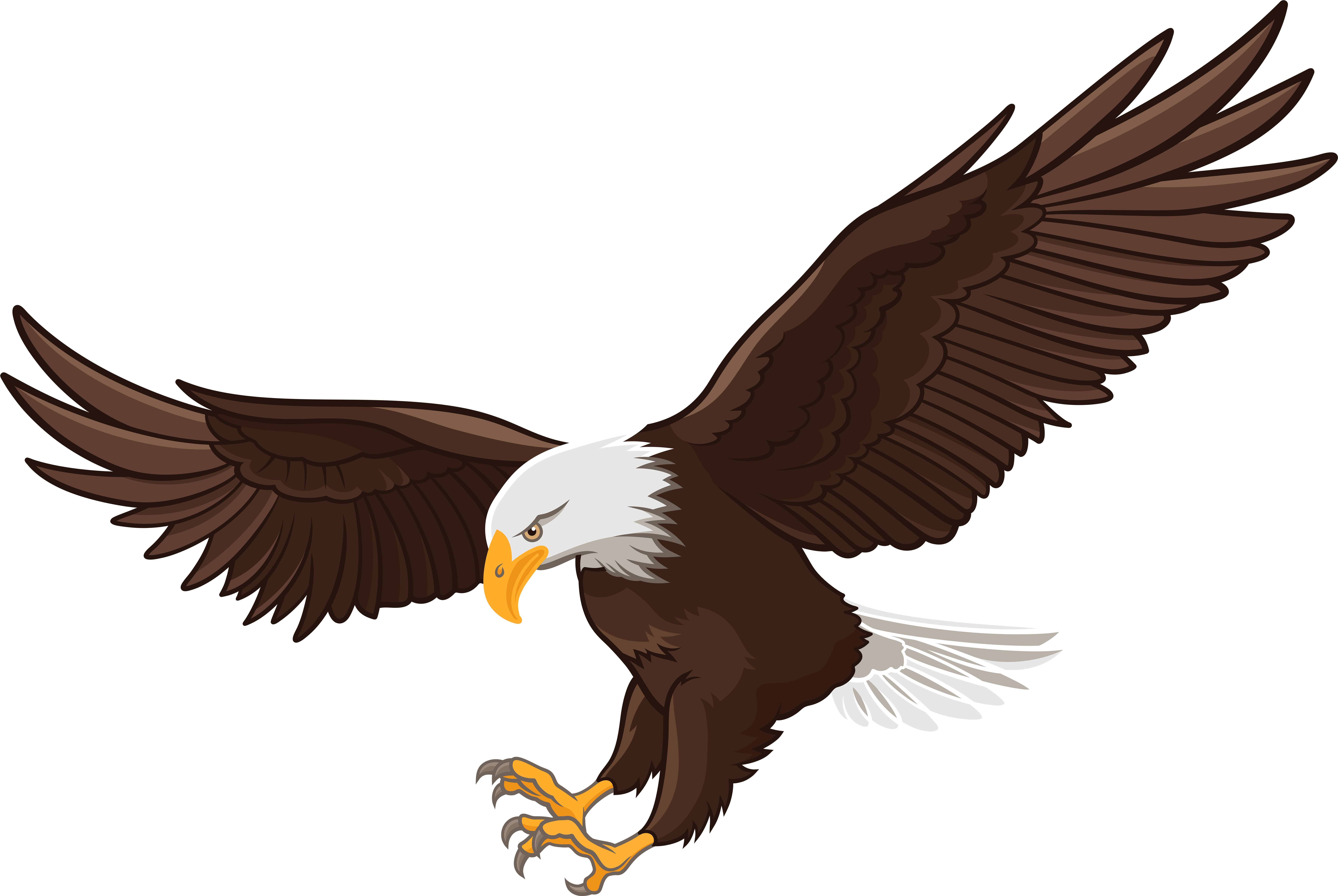 Eagle Png Clip Art - Eagle Clipart (8000x5359), Png Download