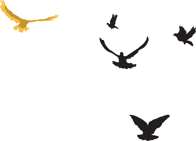 Black, Sky, Birds, Bird, Flying, Gold, The, And - Cartoon Birds In The Distance (640x459), Png Download
