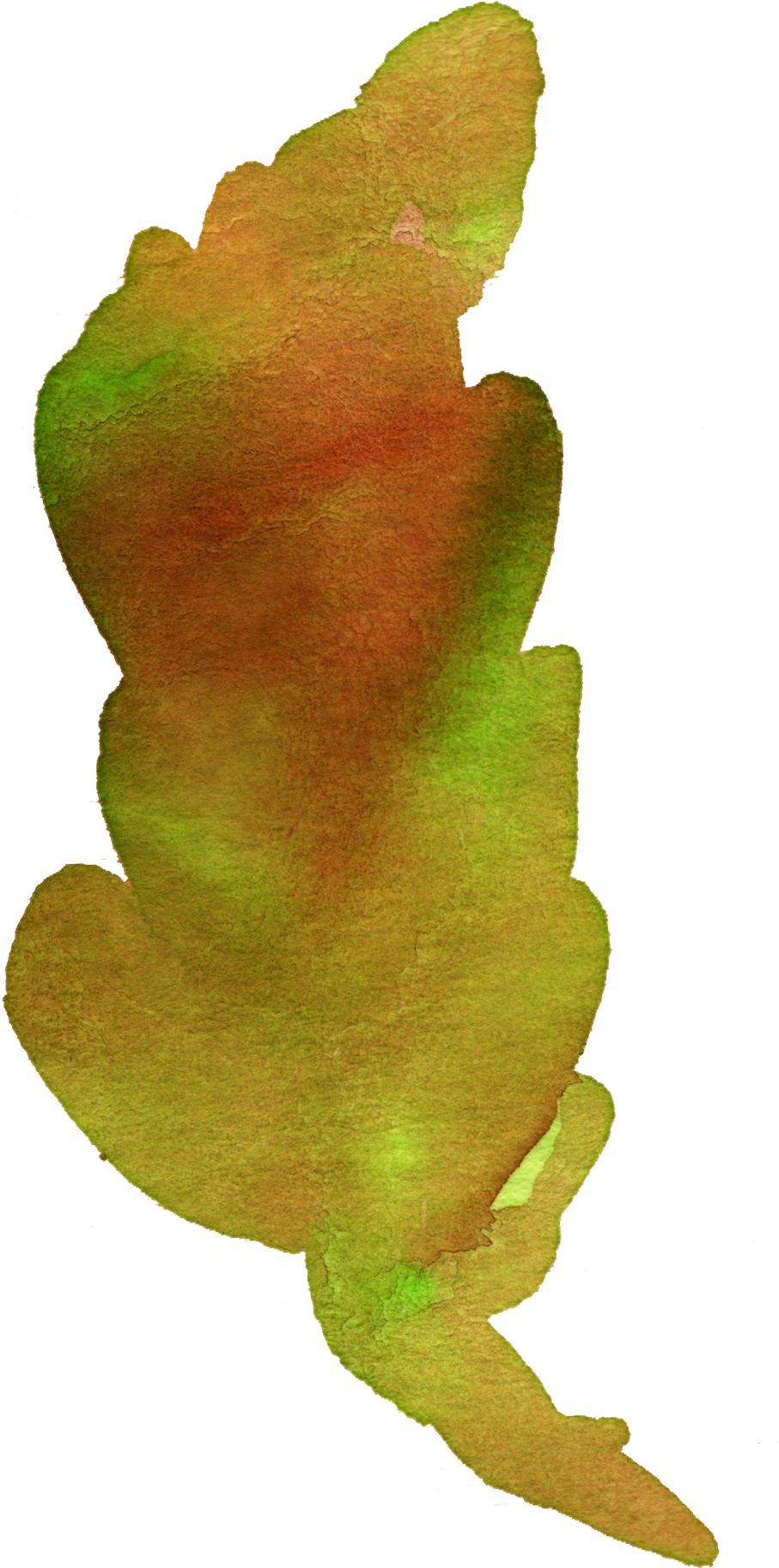 1 - Gambel Oak (963x1992), Png Download