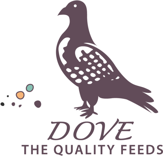 Handcrafts Dove Logo Template - Logo (640x640), Png Download