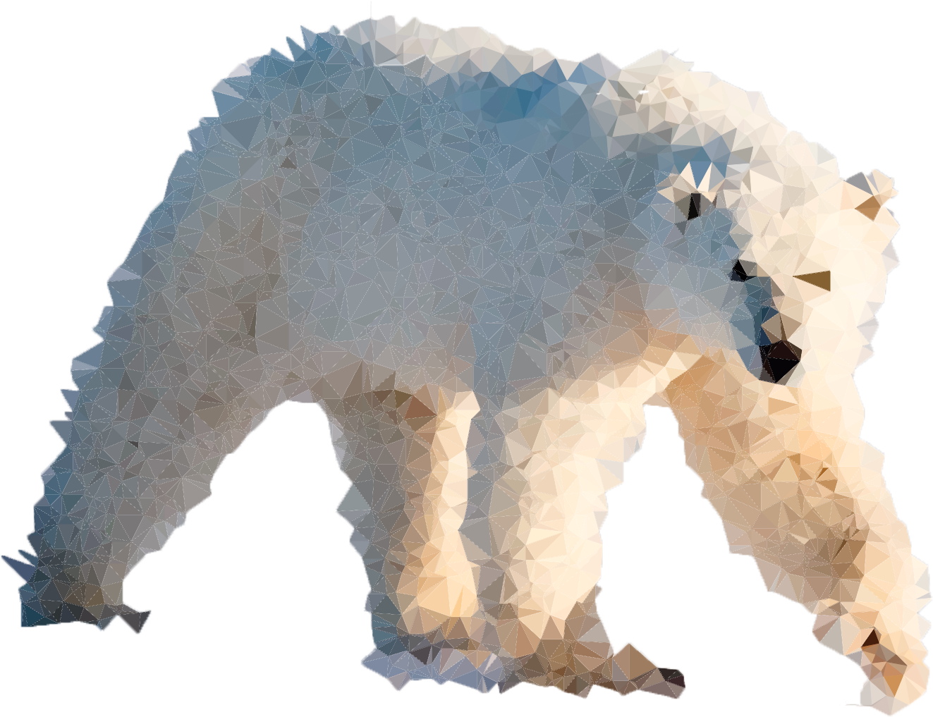 Graphic Fun - Polar Bear (1706x1137), Png Download