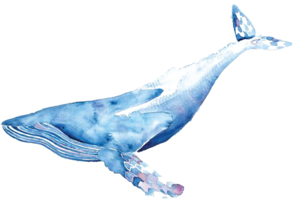 Watercolor Whale Transparent (1024x1024), Png Download
