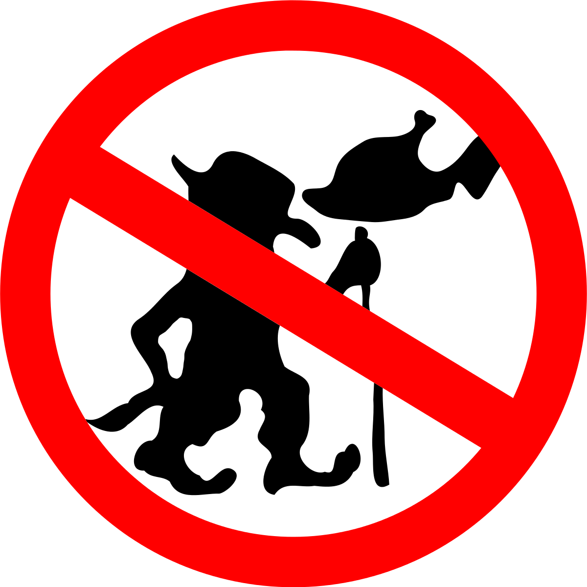 Troll Internet (1200x1200), Png Download