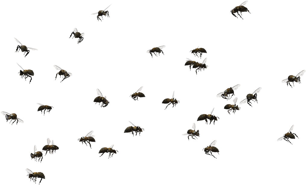 Bee Png Pic - Bee Swarm No Background (1024x645), Png Download