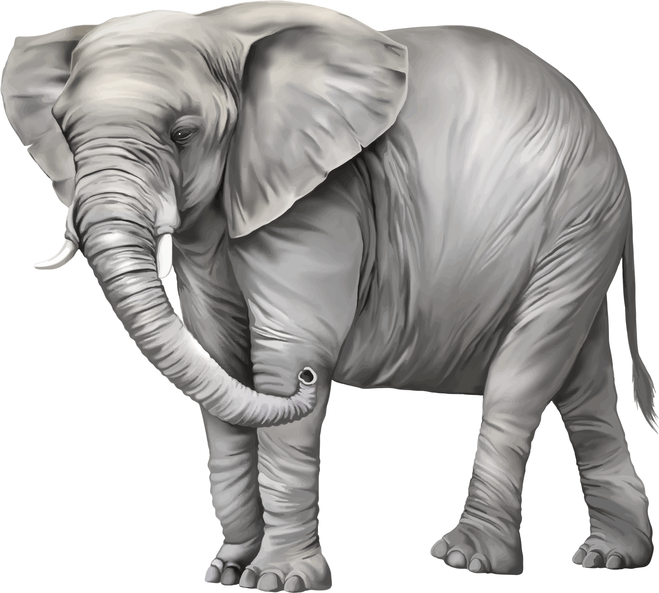 Elephant Png Photos - Elephant Clip Art Png (1024x921), Png Download