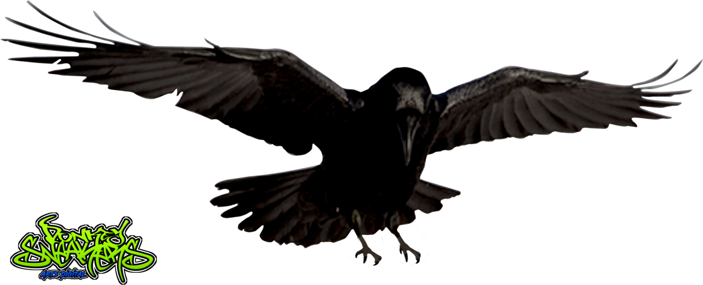 By Donkeysneakers On Deviantart - Raven Png (1387x576), Png Download