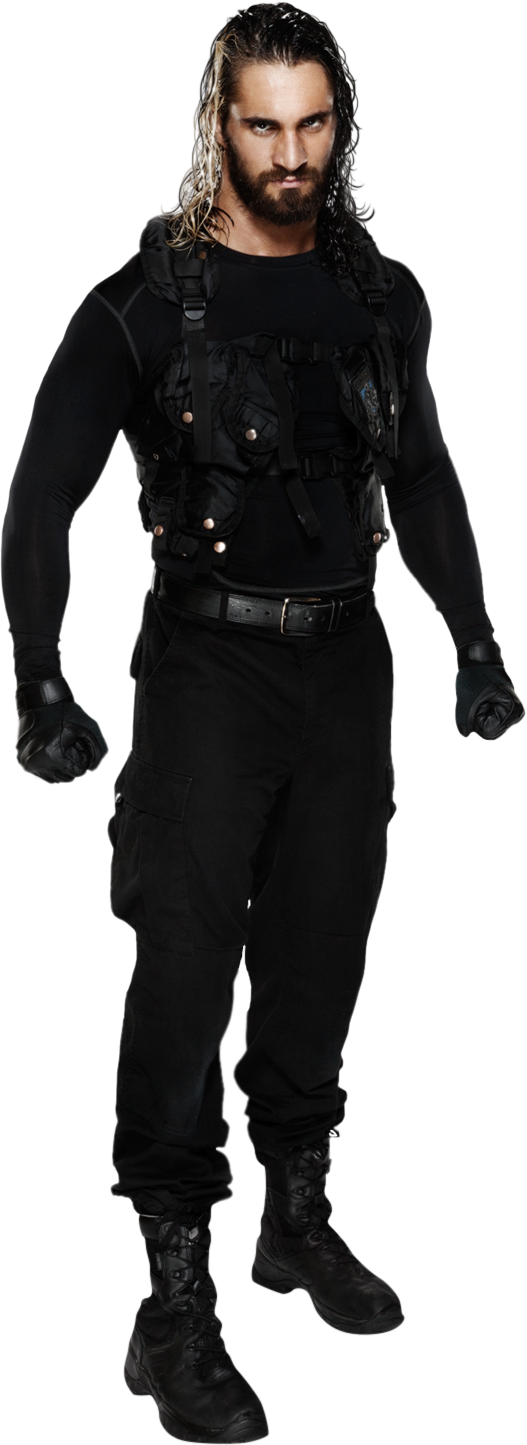 20150402011647210 - Wwe Shield Seth Rollins (527x1445), Png Download