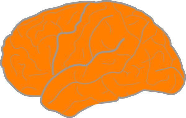 How To Set Use Orange Brain Clipart (600x382), Png Download