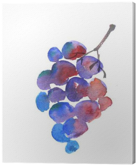 Blue Grape Watercolor Sketch - Seedless Fruit (400x400), Png Download