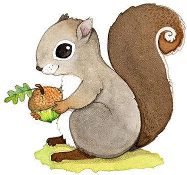 Ecureuils - Woodland Animals For Preschool (564x594), Png Download