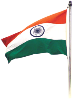 Indian Flag Png - Independence Day Flag Png (320x385), Png Download