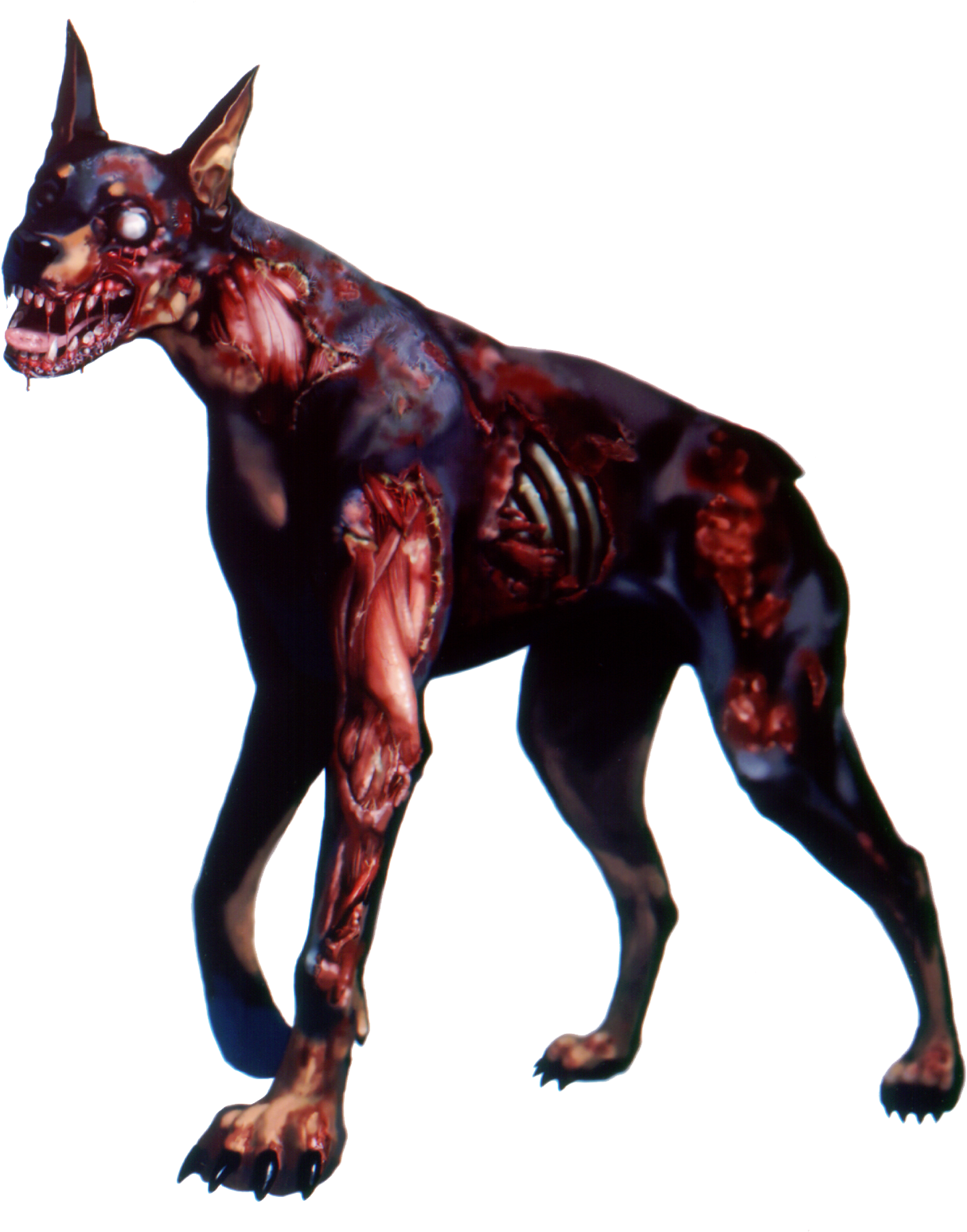 Zombie Download Png - Resident Evil Dog (1400x1600), Png Download
