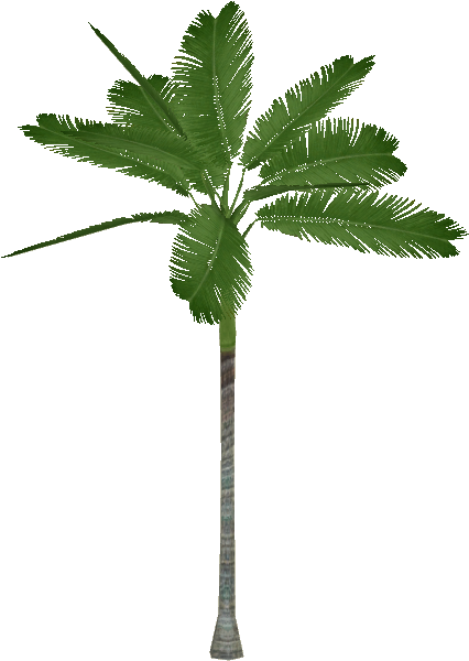 Alexander Palm - Alexander Palm Tree Png (599x599), Png Download