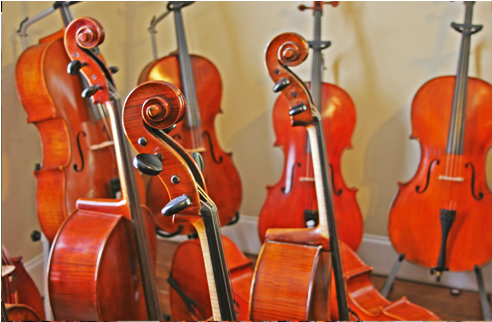 Frame Celli 1 Img - Viola (560x383), Png Download