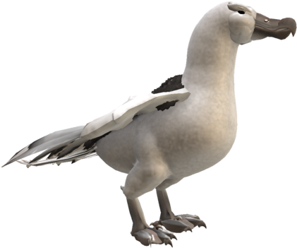 Albatross Png Hd - Albatross Png (1024x576), Png Download