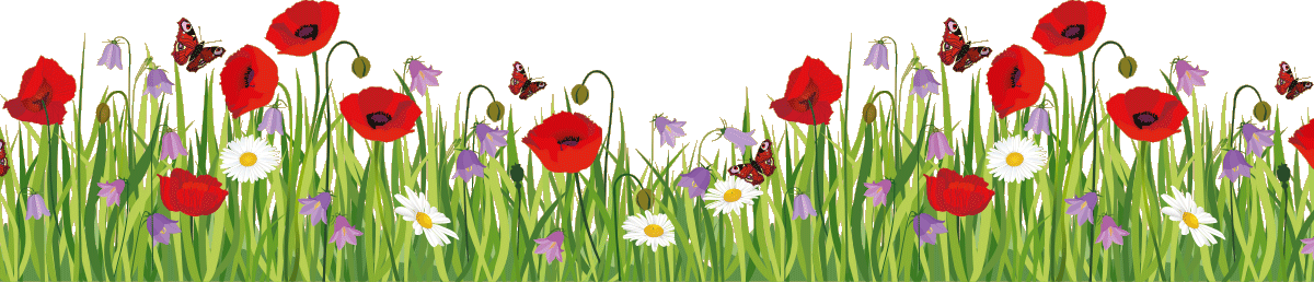 Image Is Not Available - Fence And Flower Png (1200x258), Png Download