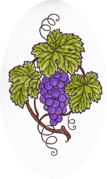 This - Weintrauben Rebe Grapes Vine Grußkarte (451x751), Png Download