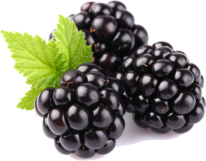 Blackberry Fruit Free Download Png - Free Blackberry Transparent Background (1000x814), Png Download
