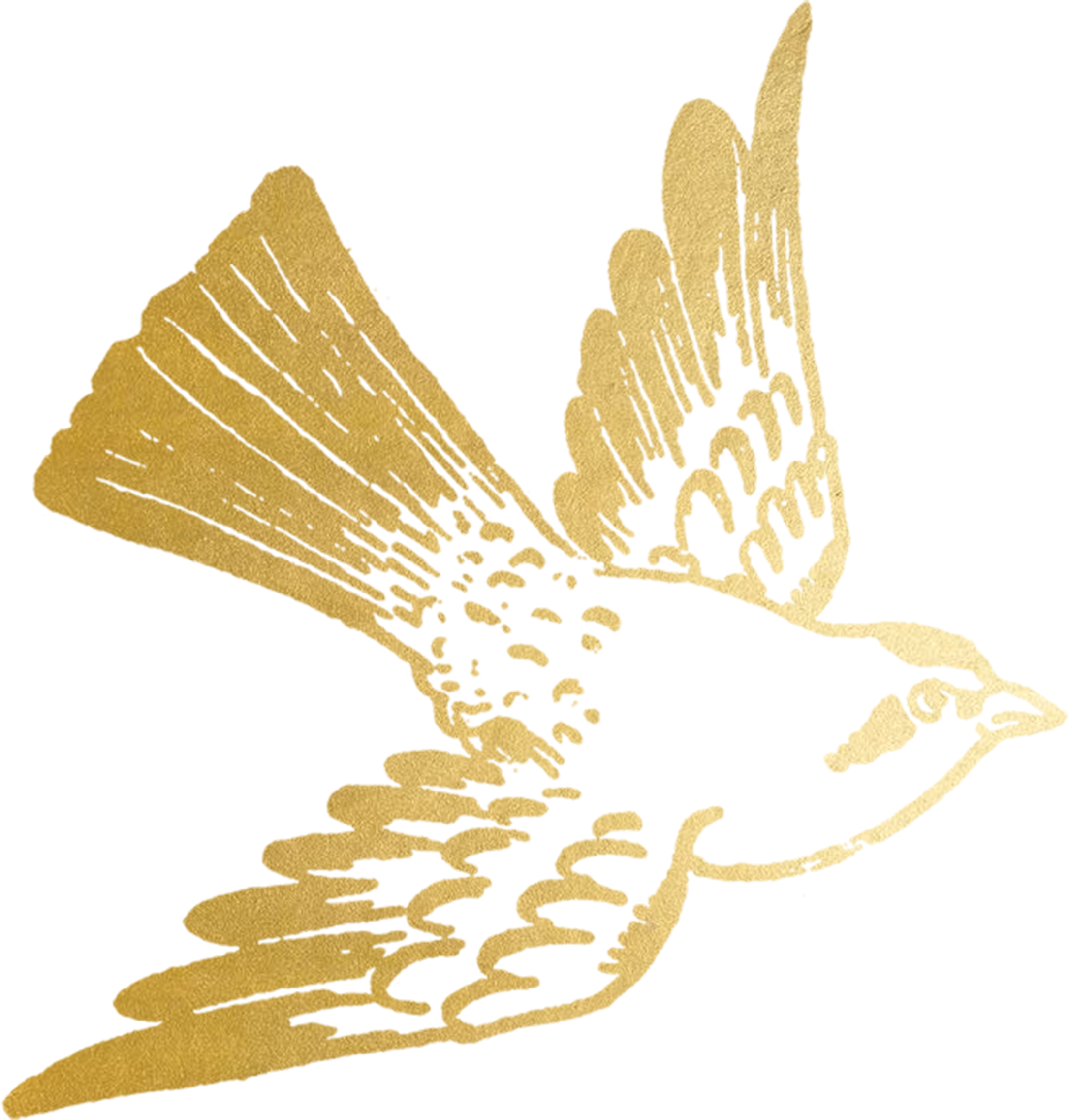 Tattly Cartolina Bird Gold Fiona Richards 00 V=1532013084 - Bird Gold (3000x3000), Png Download