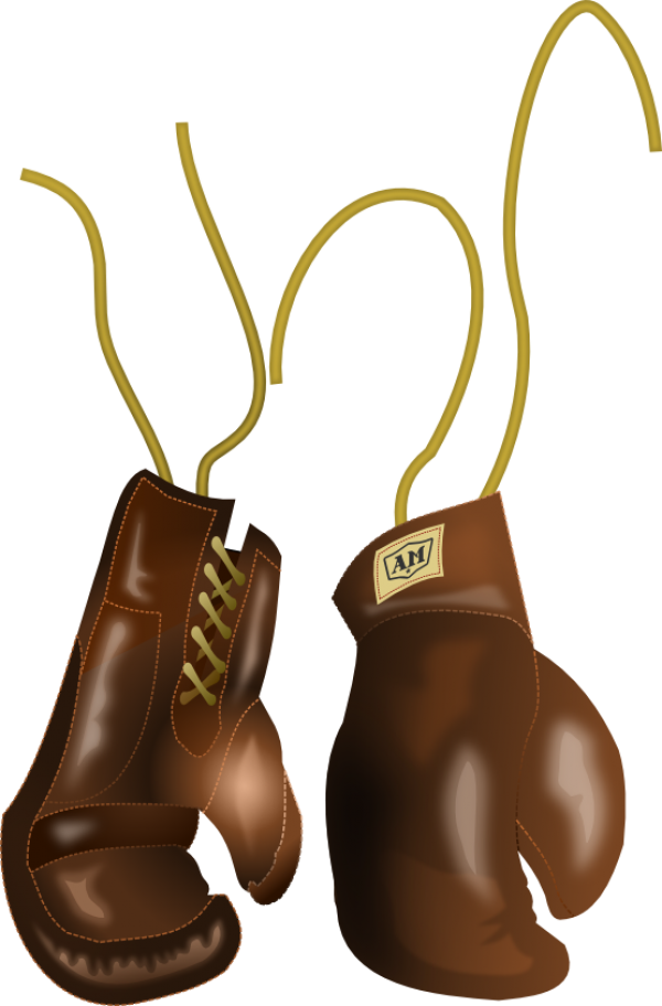 Old Boxing Gloves Vector (526x800), Png Download
