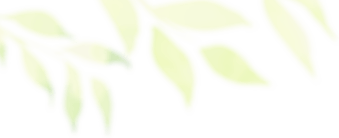 Header Green Blur Left - Plant (1322x541), Png Download