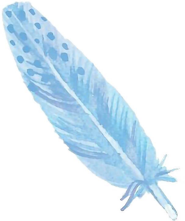 Watercolor Feather Png - Iphone 5 Fond D Écran Girly (606x722), Png Download