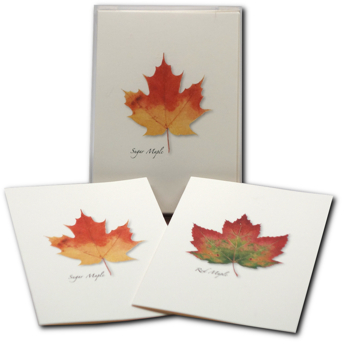 Shopping Cart -  -  - Maple Leaf (1200x1200), Png Download