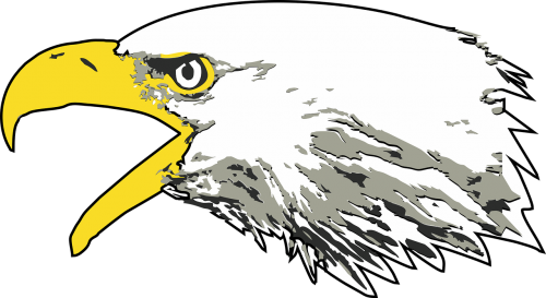 Eagle,bald Eagle,screaming Head - Bald Eagle (500x273), Png Download