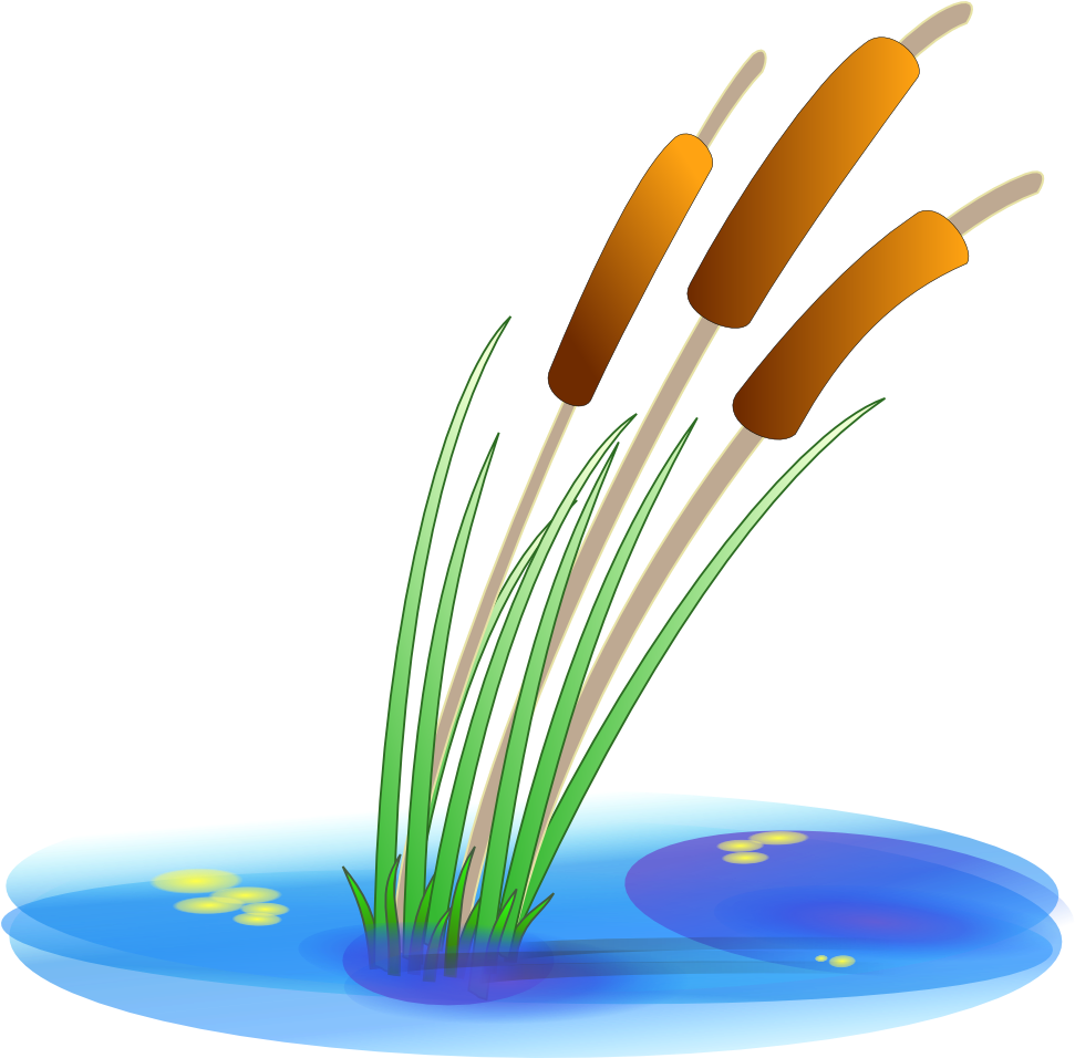Palm Tree On The Sand Royalty Free Vector Clip Art - Cattail Clipart (550x525), Png Download