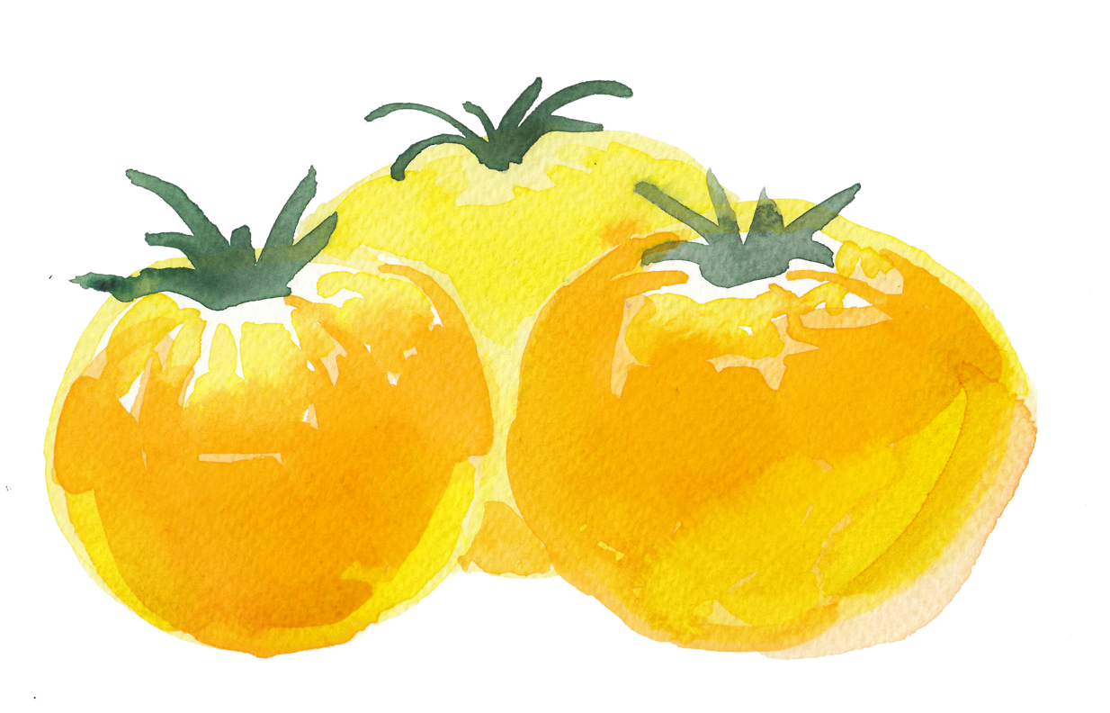 Tomatoes - Commissions - Cherry Tomatoes (1280x801), Png Download