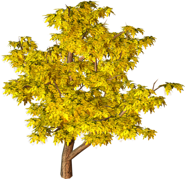 Yellow Fall Tree Png Clipart - Png Tree Background Hd (600x582), Png Download